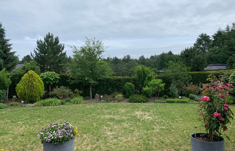 Bungalow in Ermelo — foto 3