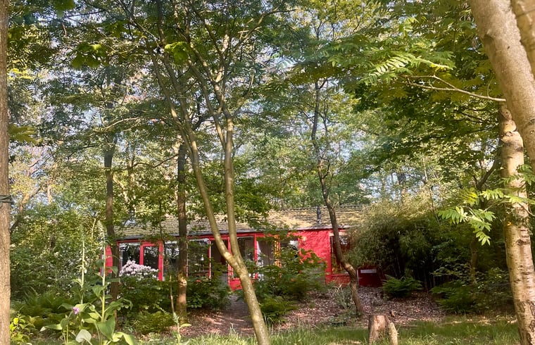 Natuurhuisje in Zuidlaren