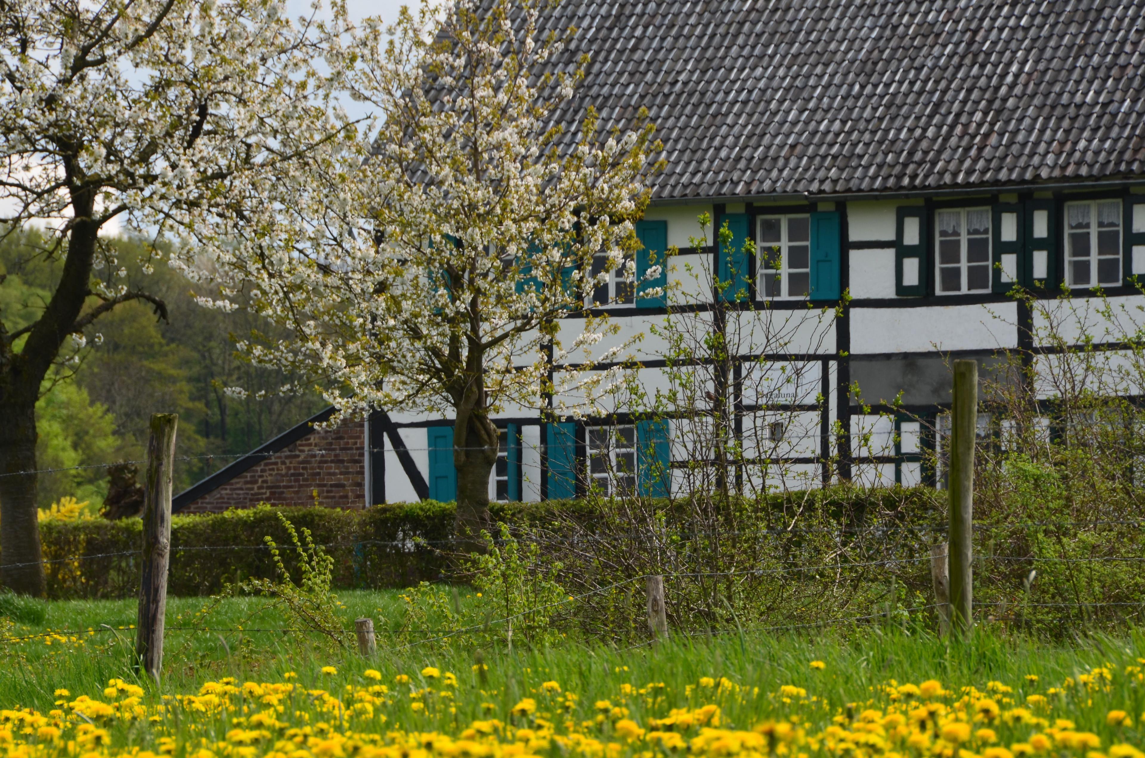 Nature house in Mechelen