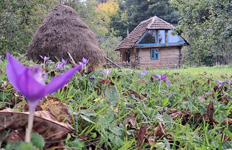 Tiny house in Zece Hotare — foto 1