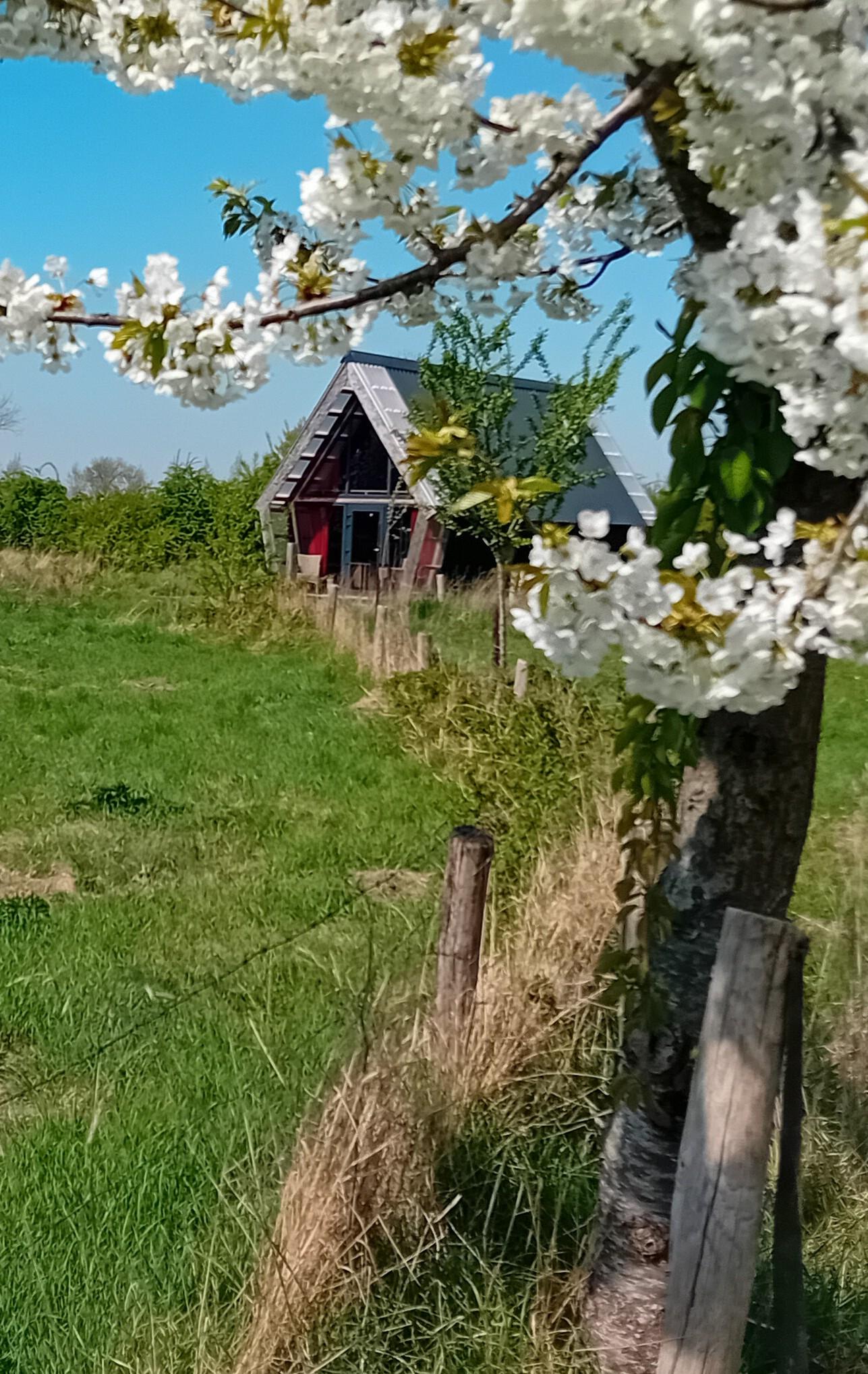 Natuurhuisje in Kwadendamme