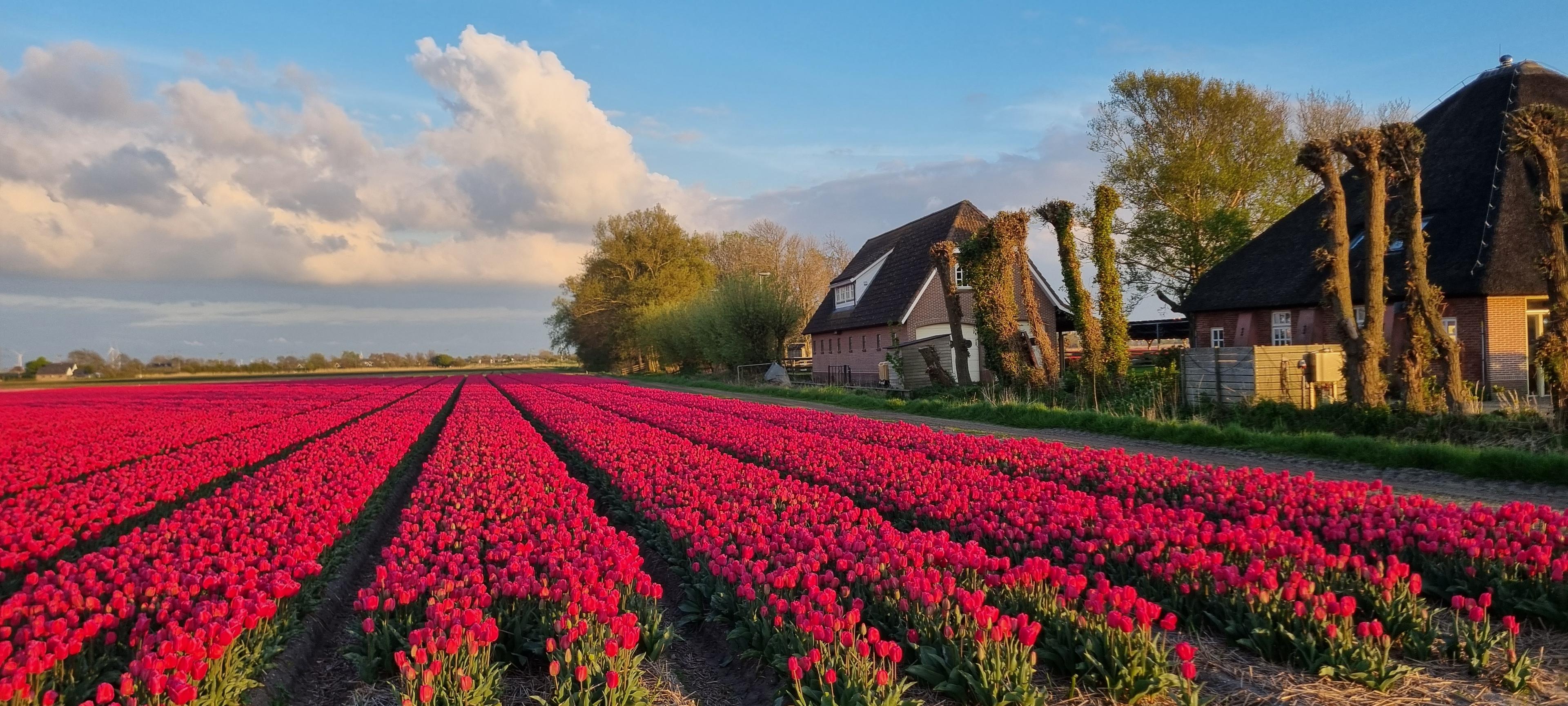 Nature house in 't Zand