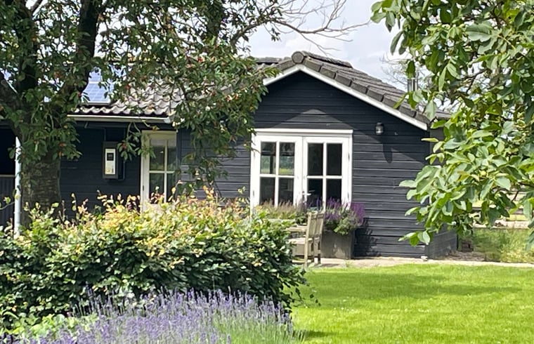 Appartement in Ophemert — foto 2