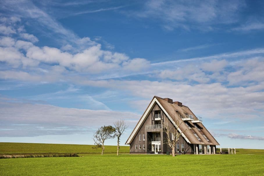 Nature house in Wierum