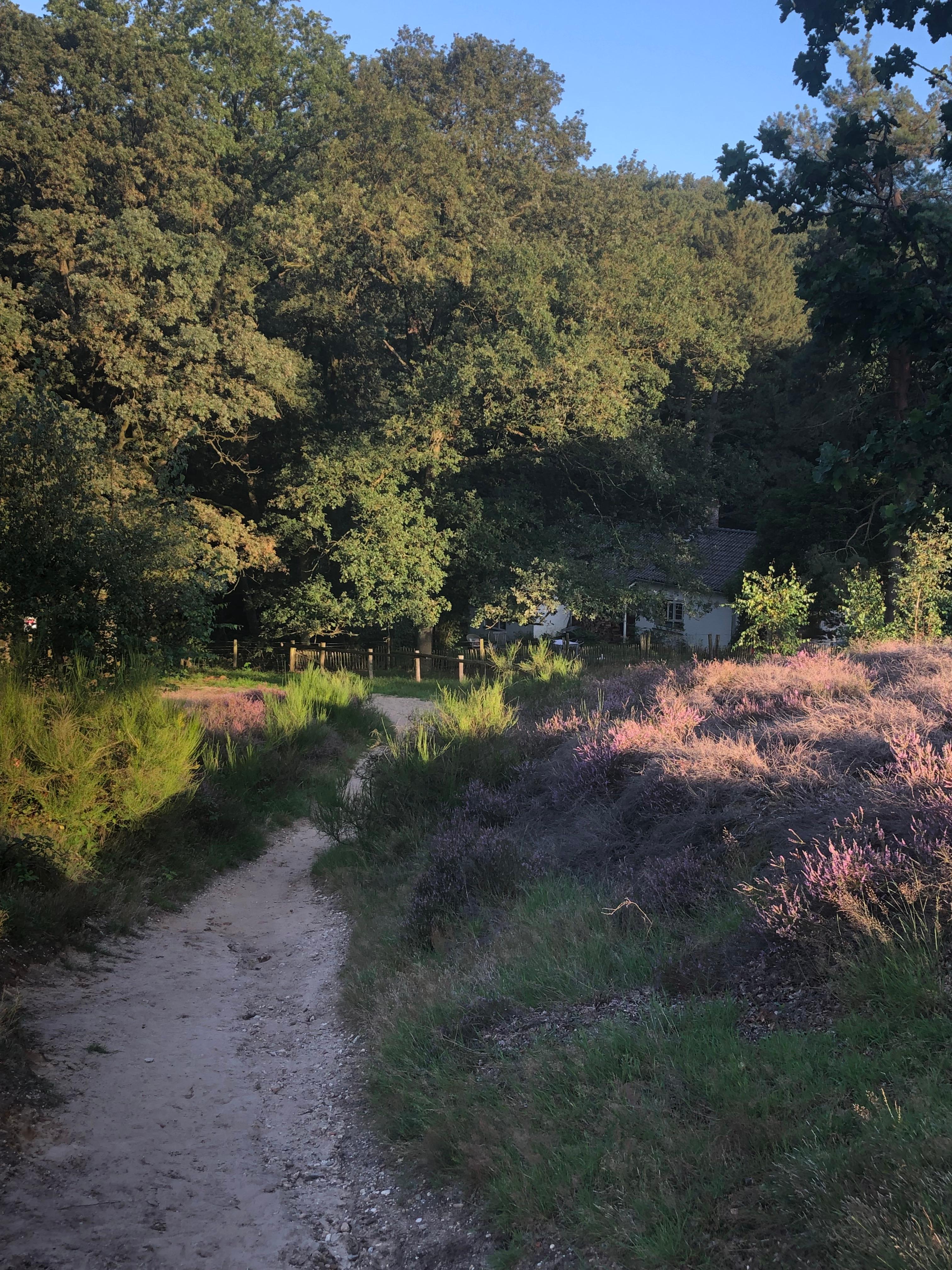 Casa nella natura a Mook