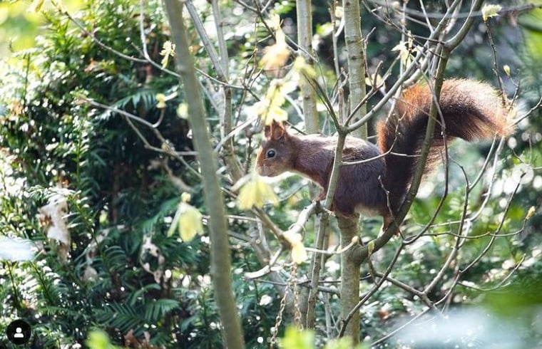 Bungalow in Doldersum — foto 3