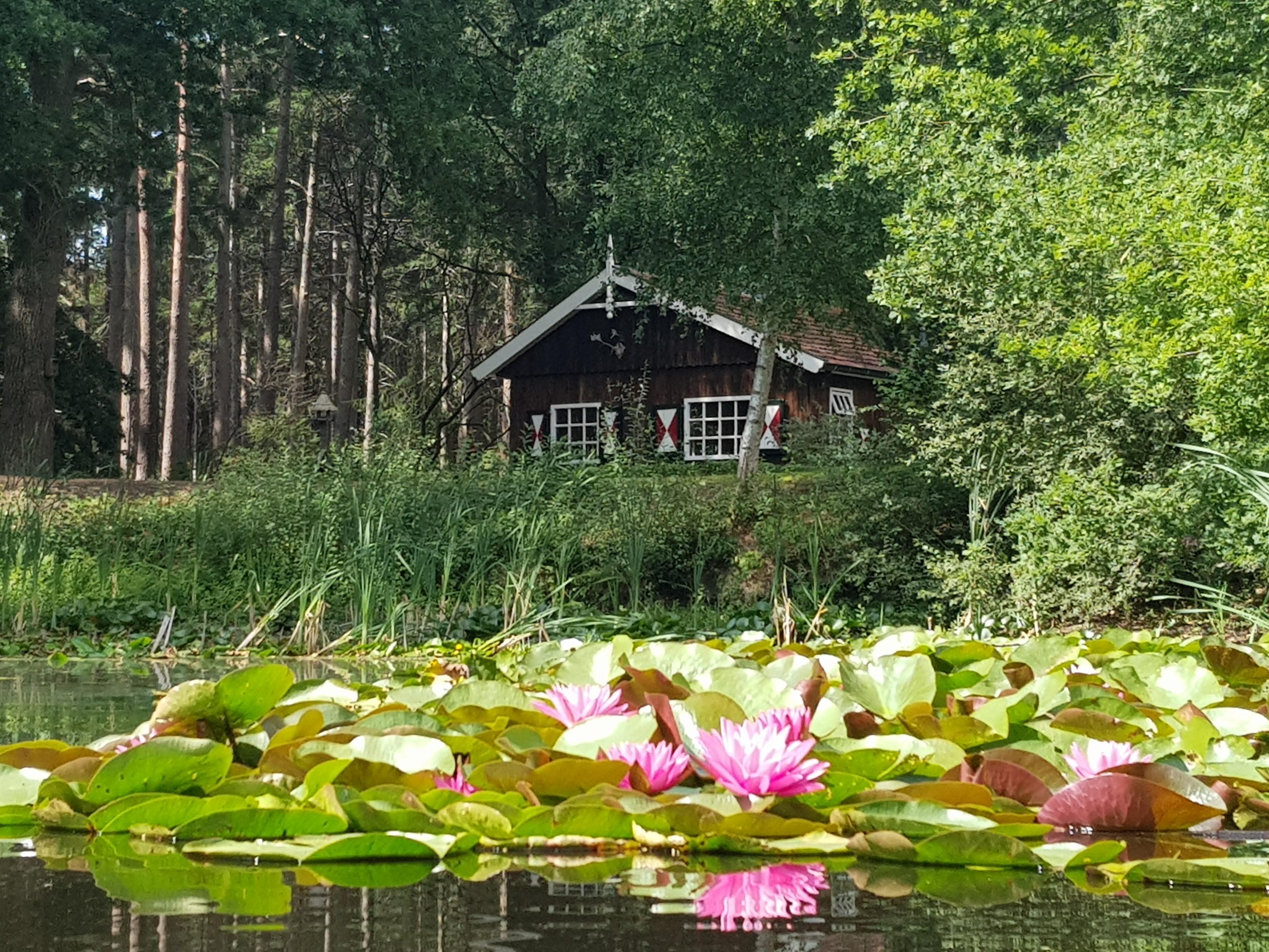 Natuurhuisje in Hellendoorn