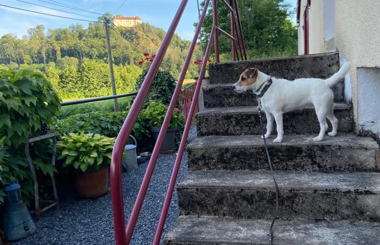 Natuurhuisje 24390 huisje in Larochemillay Natuurhuisje.nl