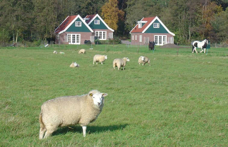 Natuurhuisje in Den Burg