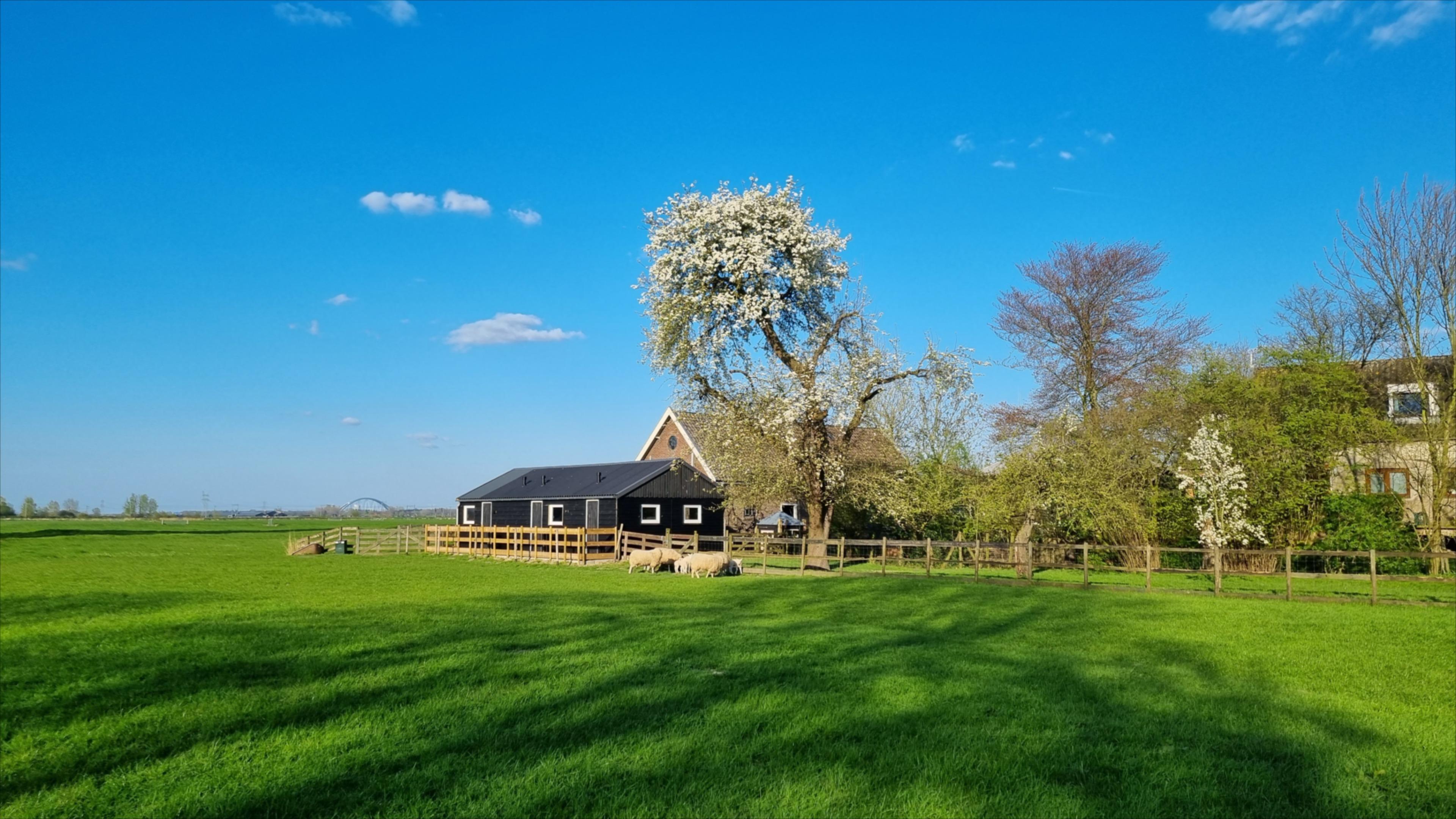 Casa nella natura a Weesp