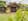 Casa nella natura a Wognum