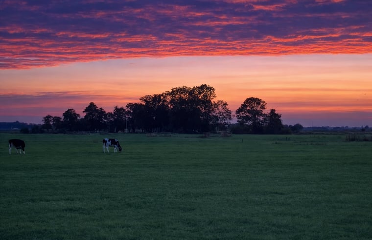 Natuurhuisje in Tjerkgaast