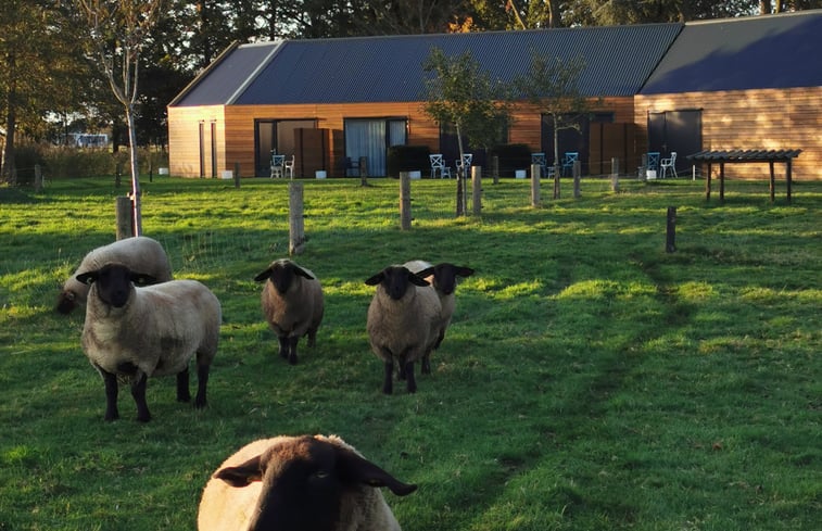 4 etoiles maison de vacances a Glesborg