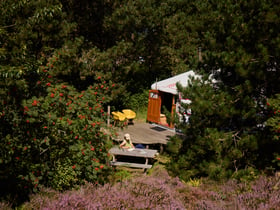 Natuurhuisje in Den Hoorn