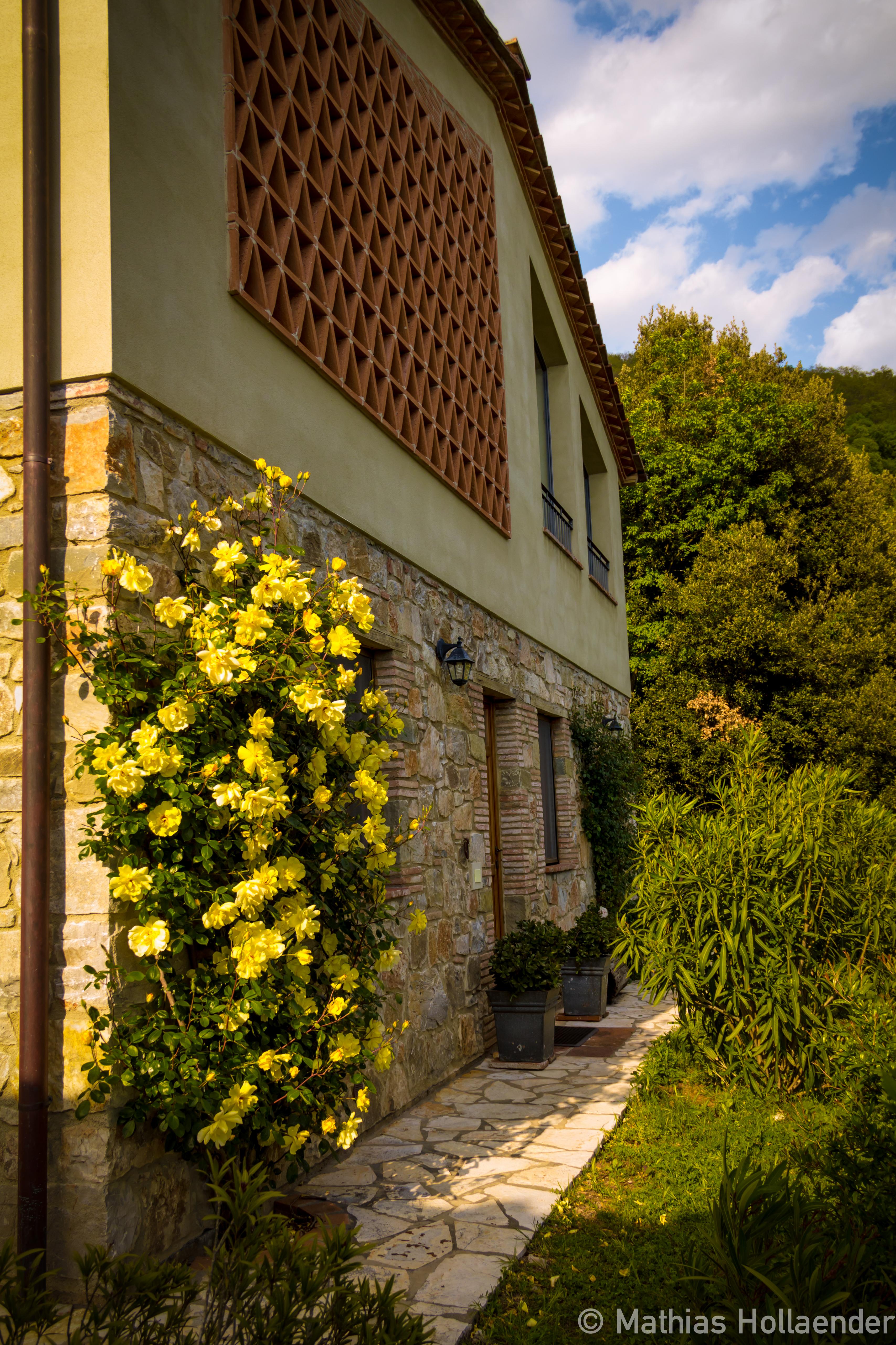 Natuurhuisje in Valdottavo, Borgo a Mozzano