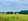 - image: 13