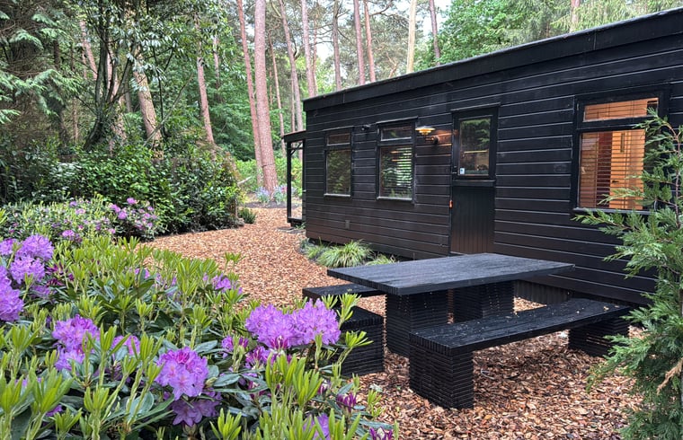 Natuurhuisje in Norg