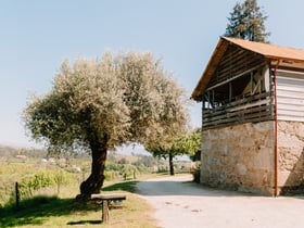 Maison nature à Cabeceiras de Basto