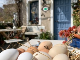 Maison nature dans Noli