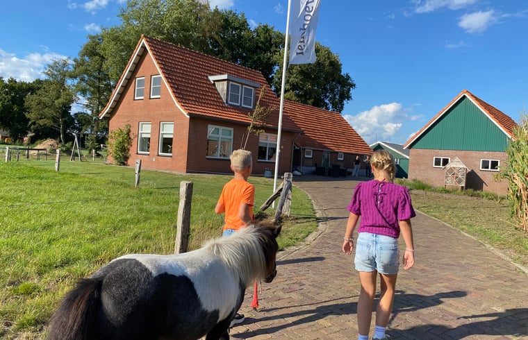 Boerderij in Langeveen — foto 1
