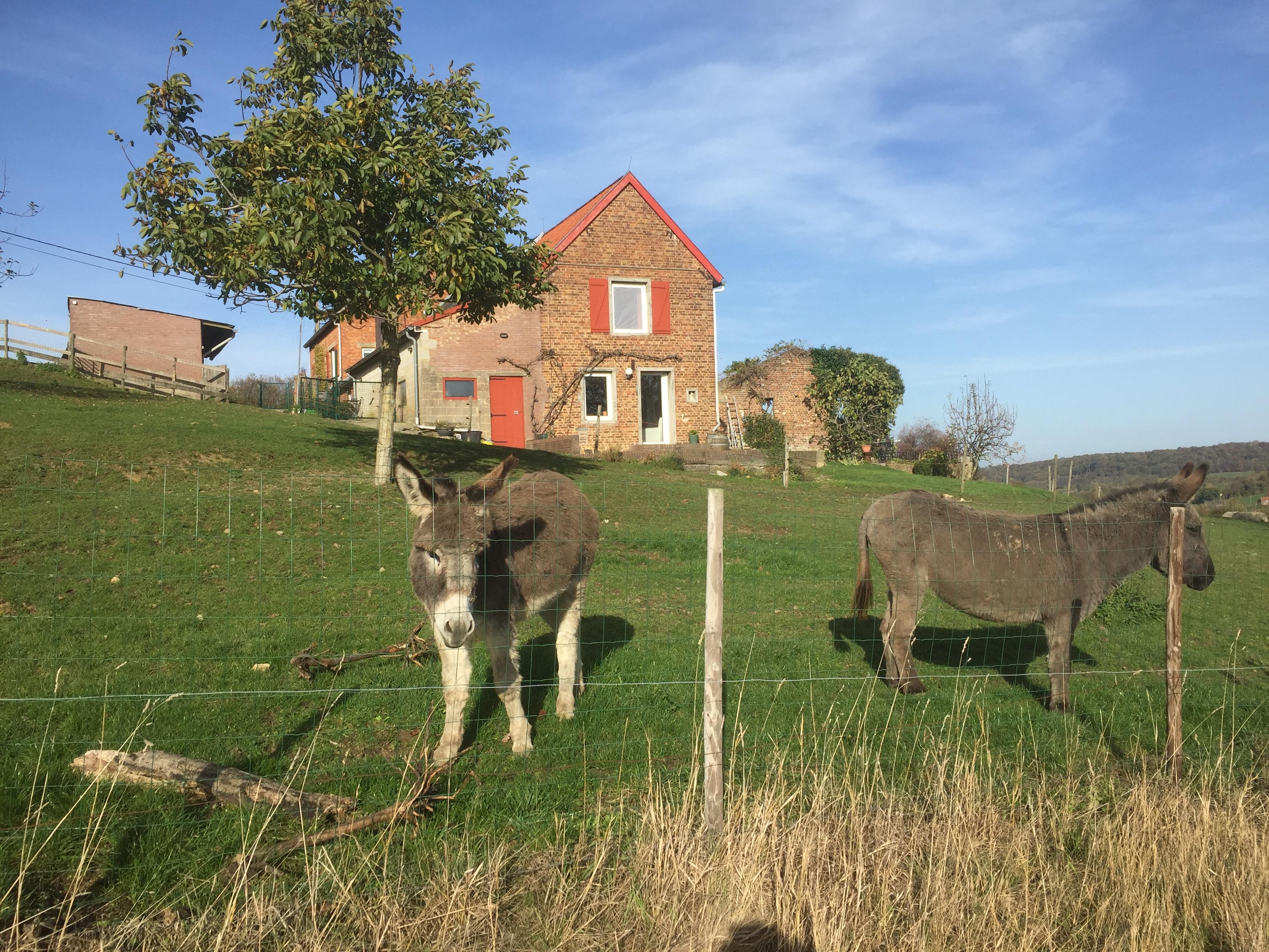 Maison nature à Sint Pieters Voeren