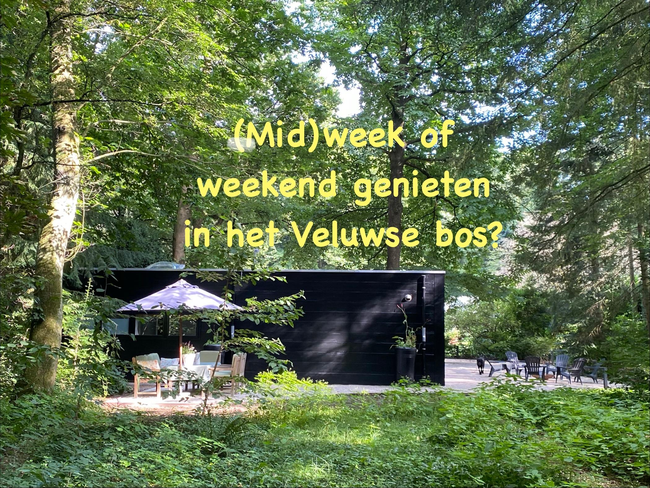 Natuurhuisje in Hattem op de Veluwe