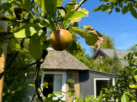 Casa nella natura a Schoorl