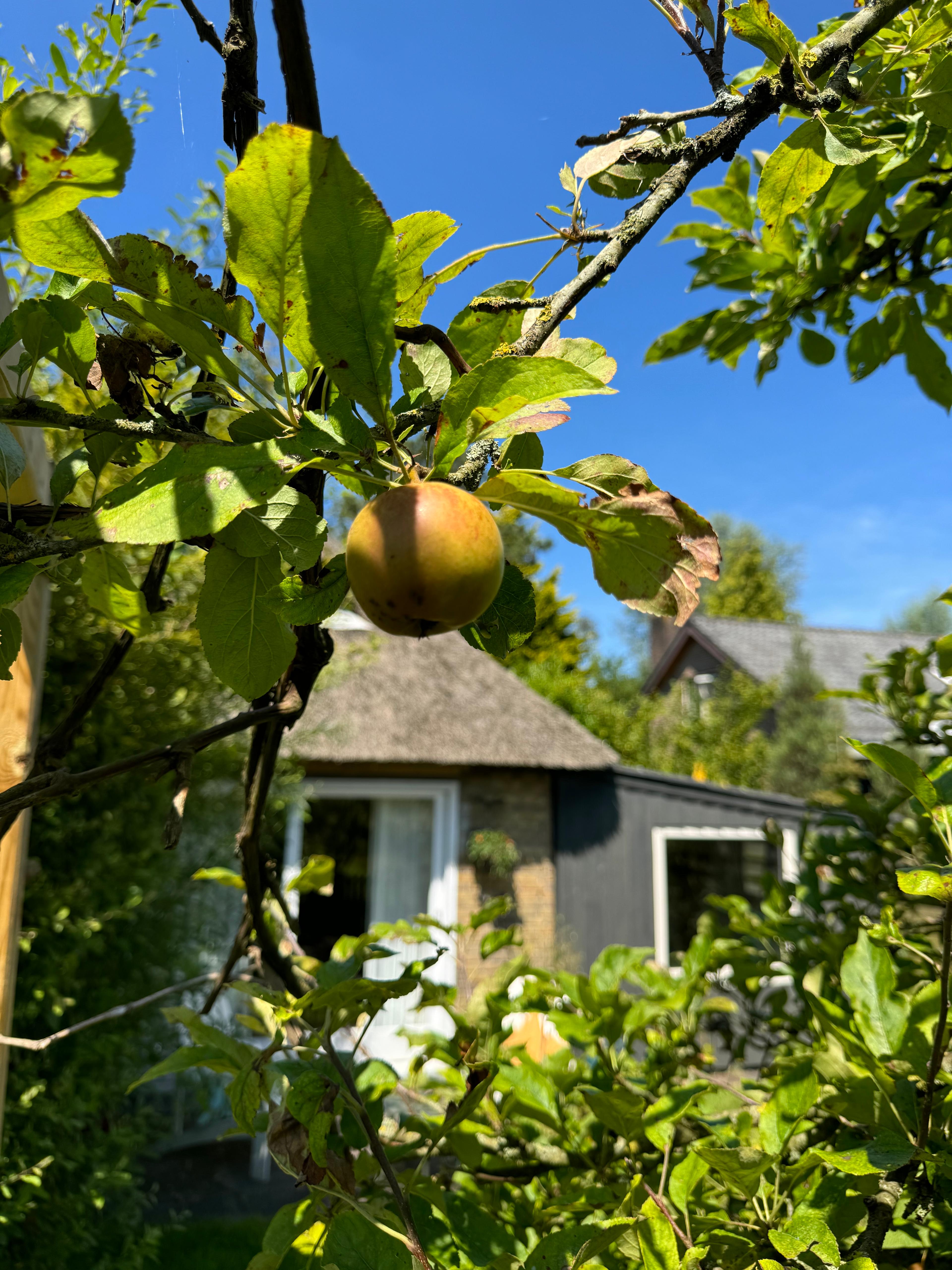 Maison nature à Schoorl