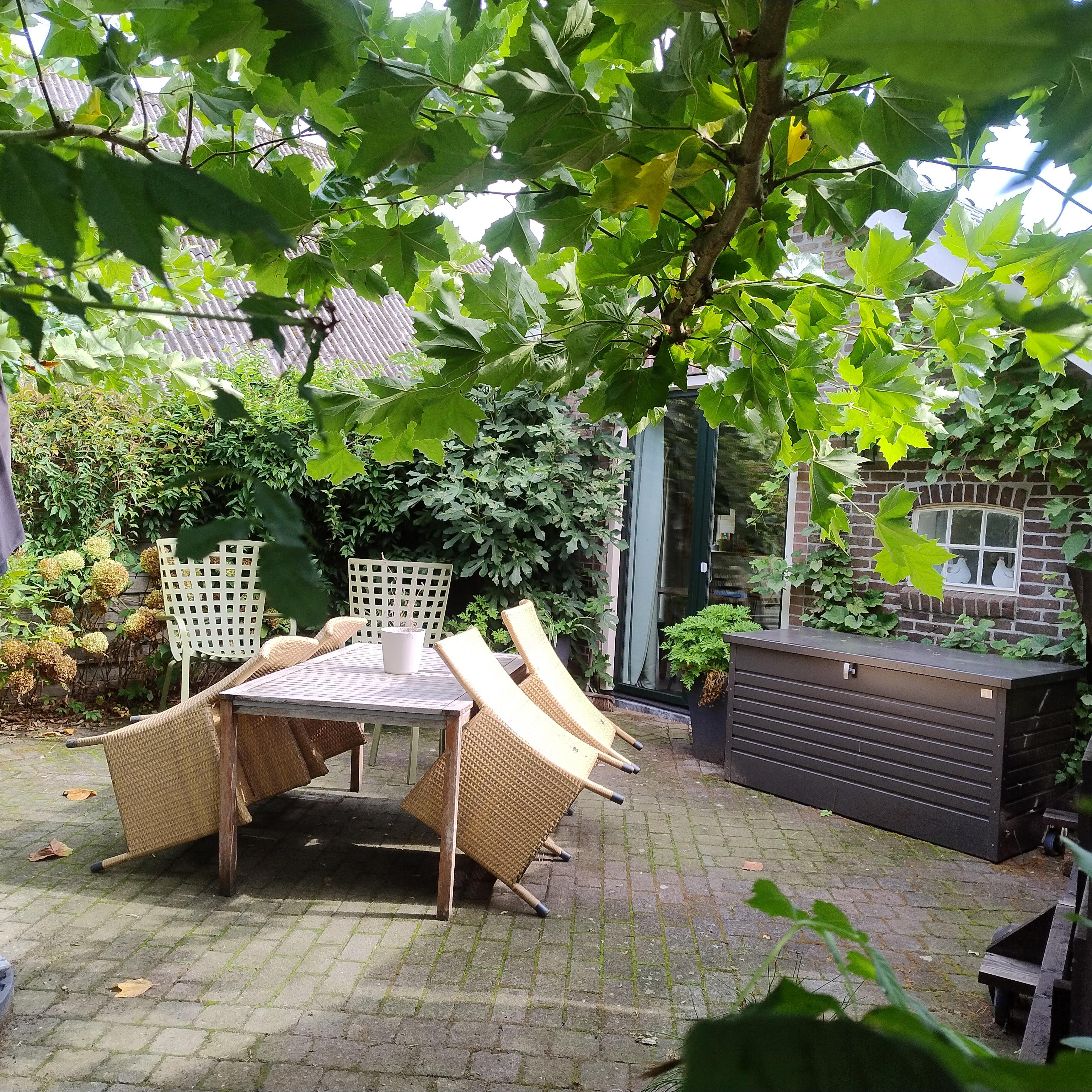Natuurhuisje in Dalerveen