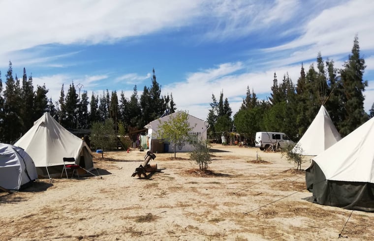 Boerderij in Almonte — foto 3