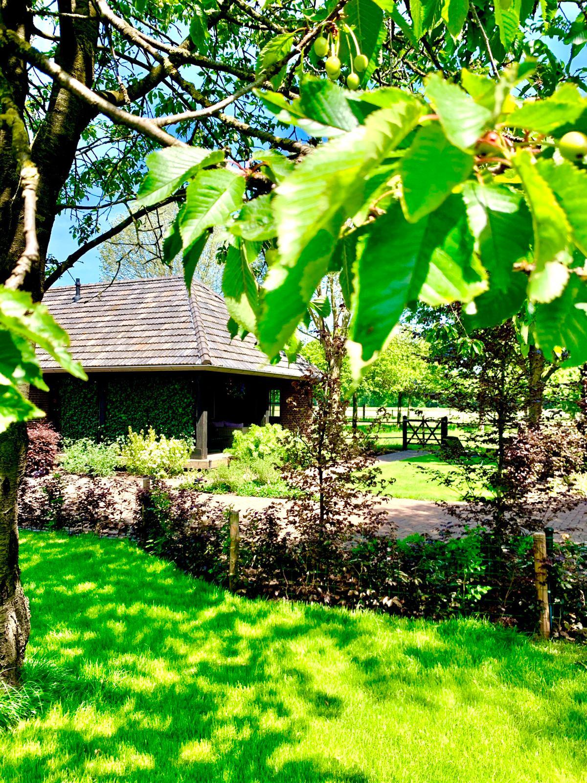 Nature house in Wilbertoord
