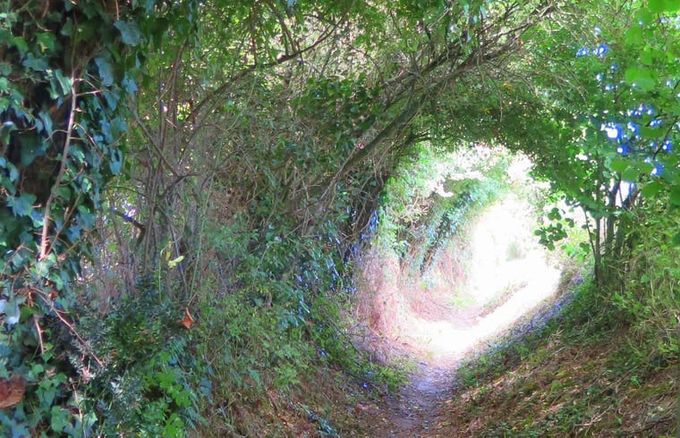 Logies in Chevillé — foto 1