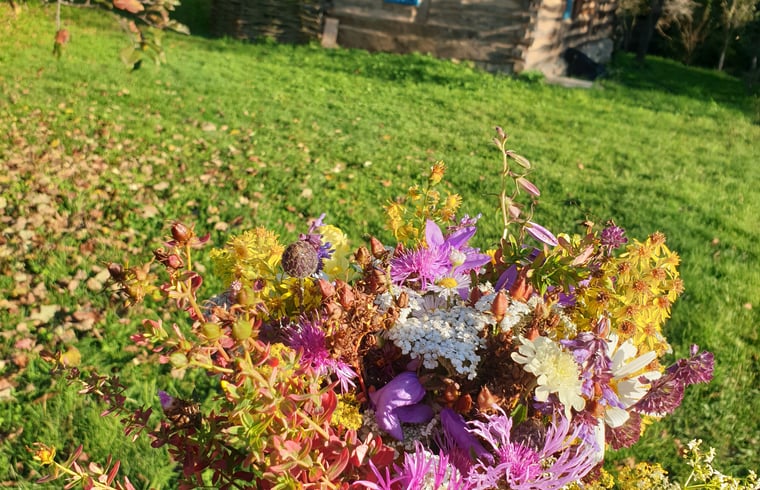 Tiny house in Zece Hotare — foto 3