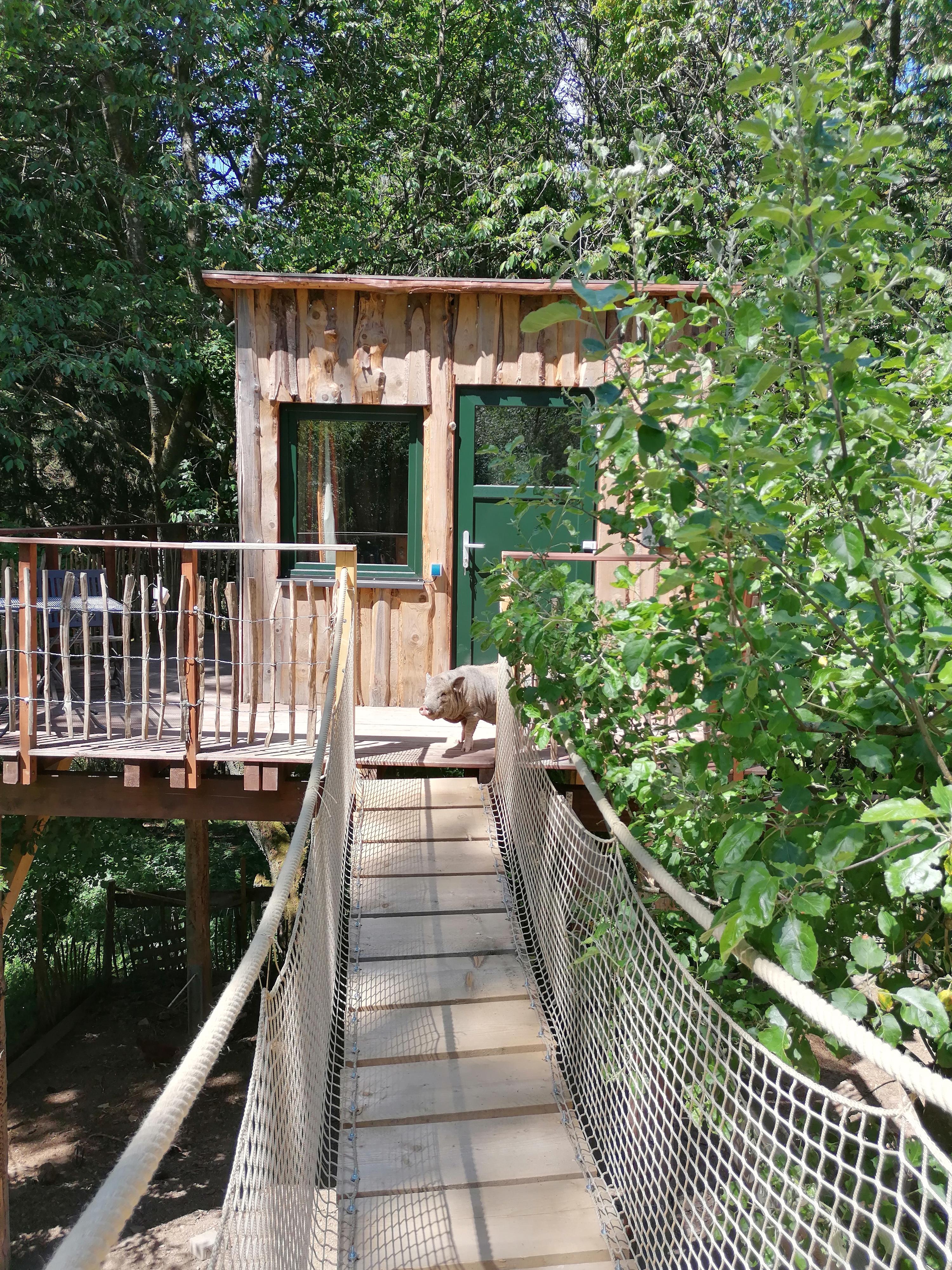 Casa nella natura a Sassen