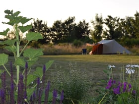 Nature house in Gouttieres