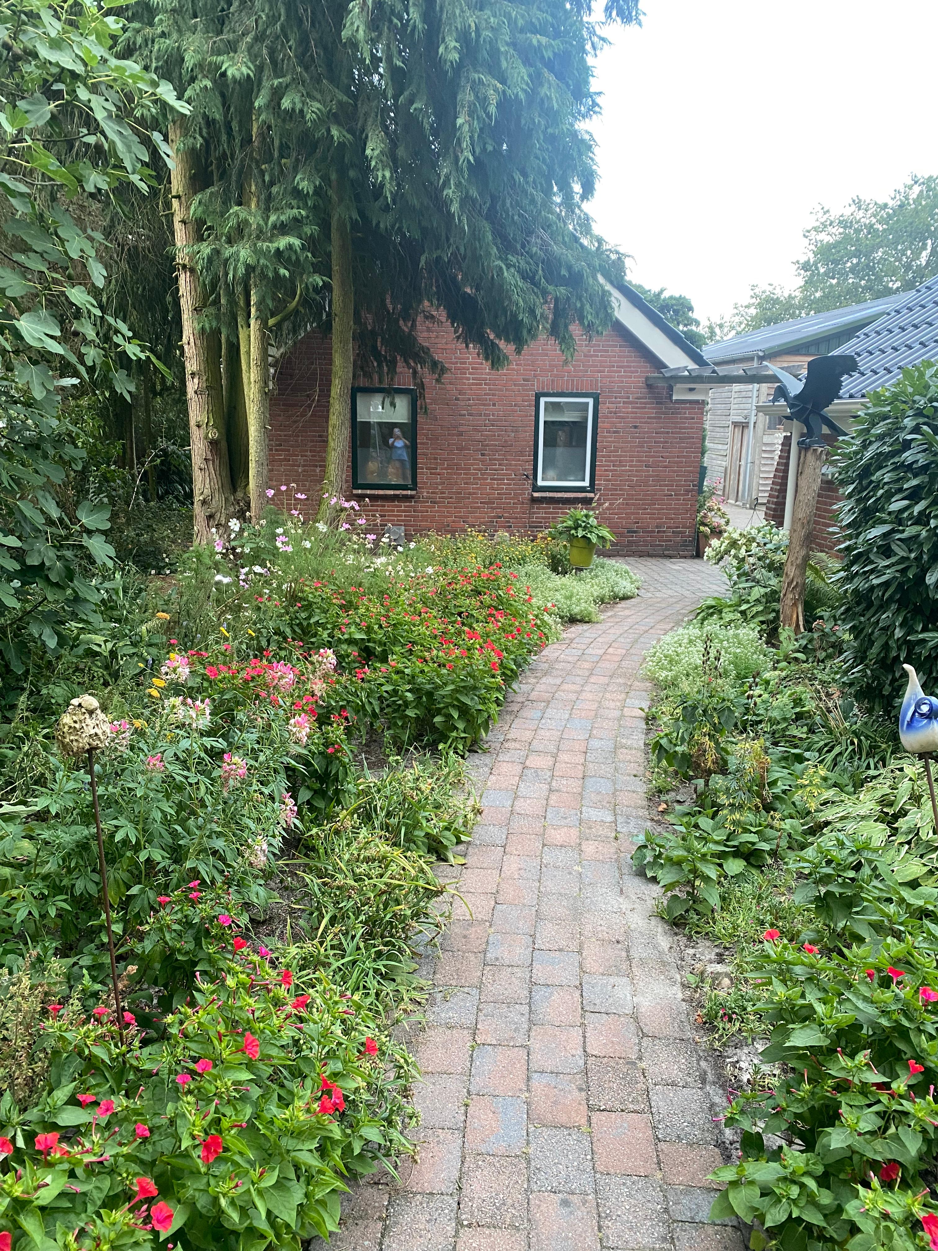Nature house in Exloo
