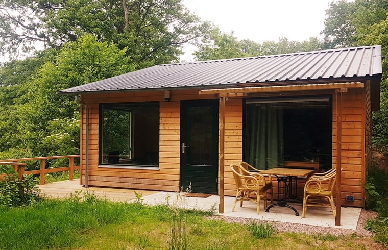 Vakantiehuis in Schipborg — foto 2