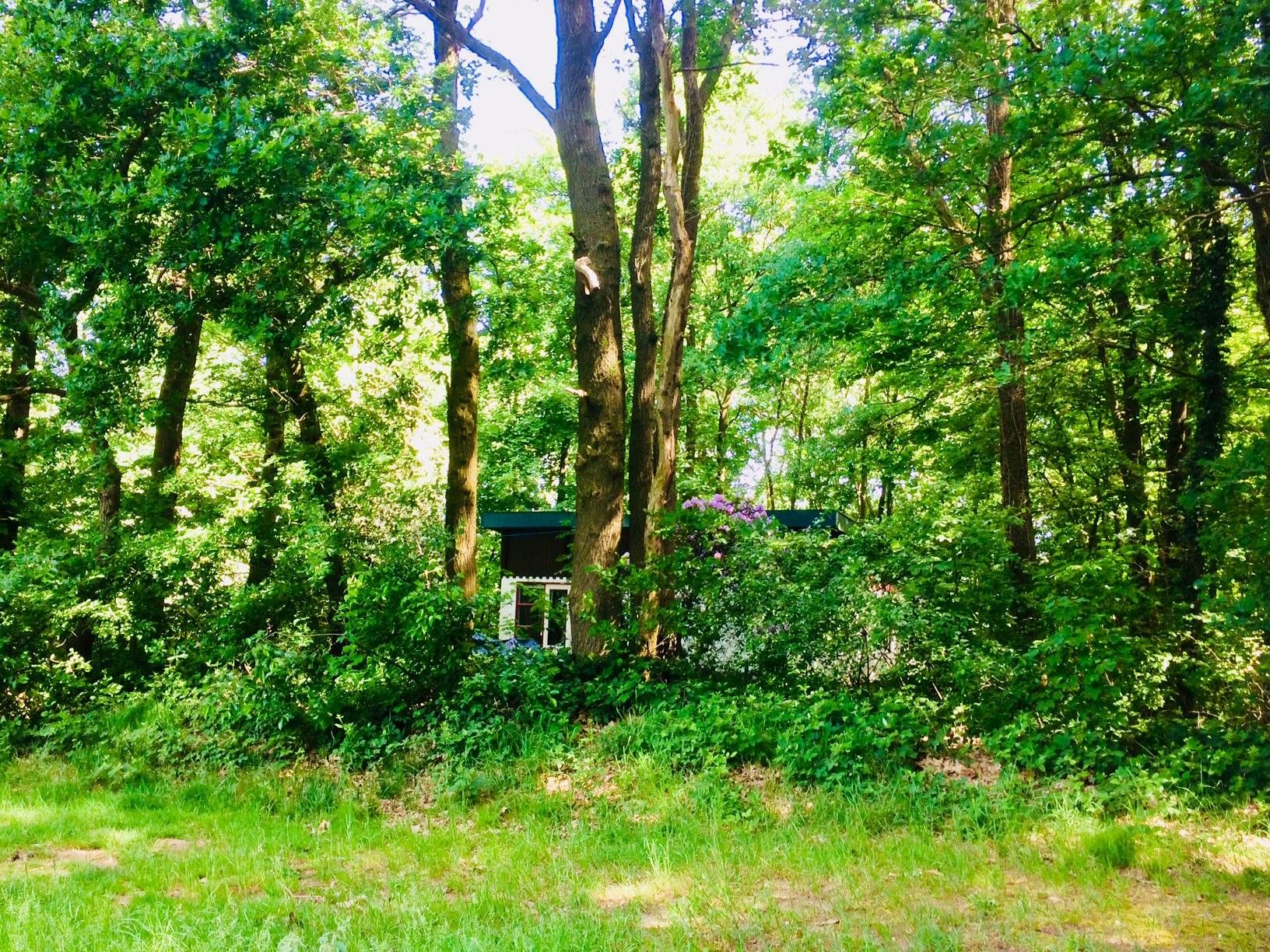 Maison nature à Beesel
