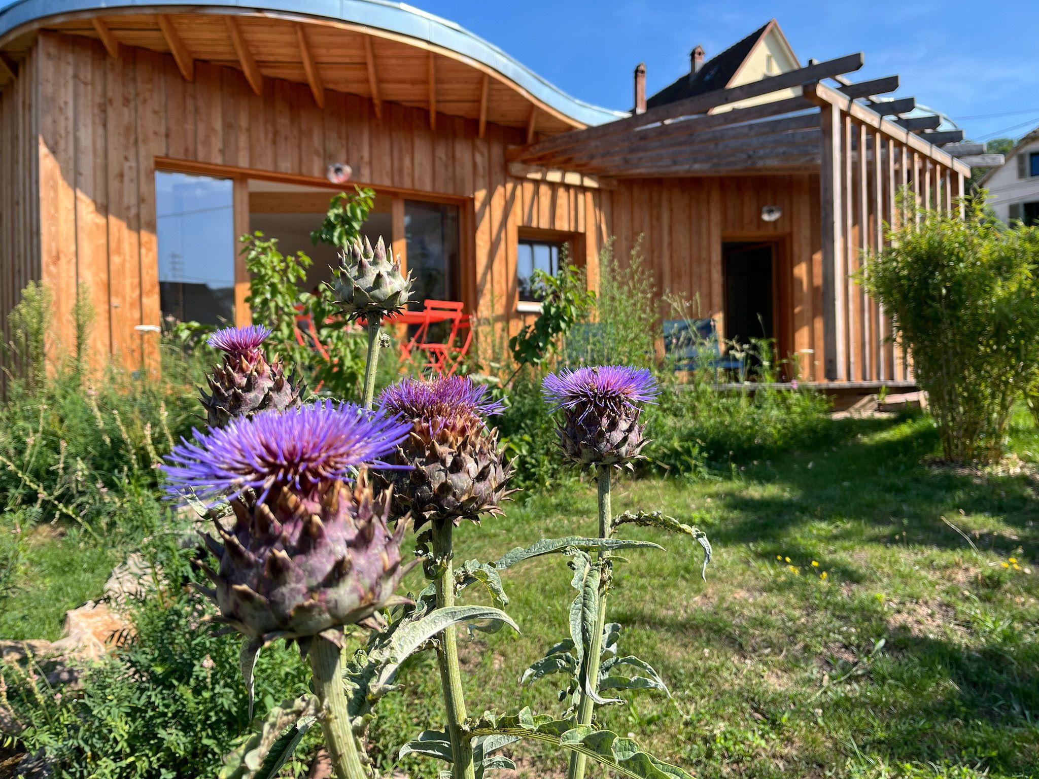 Nature house in Wihr au Val