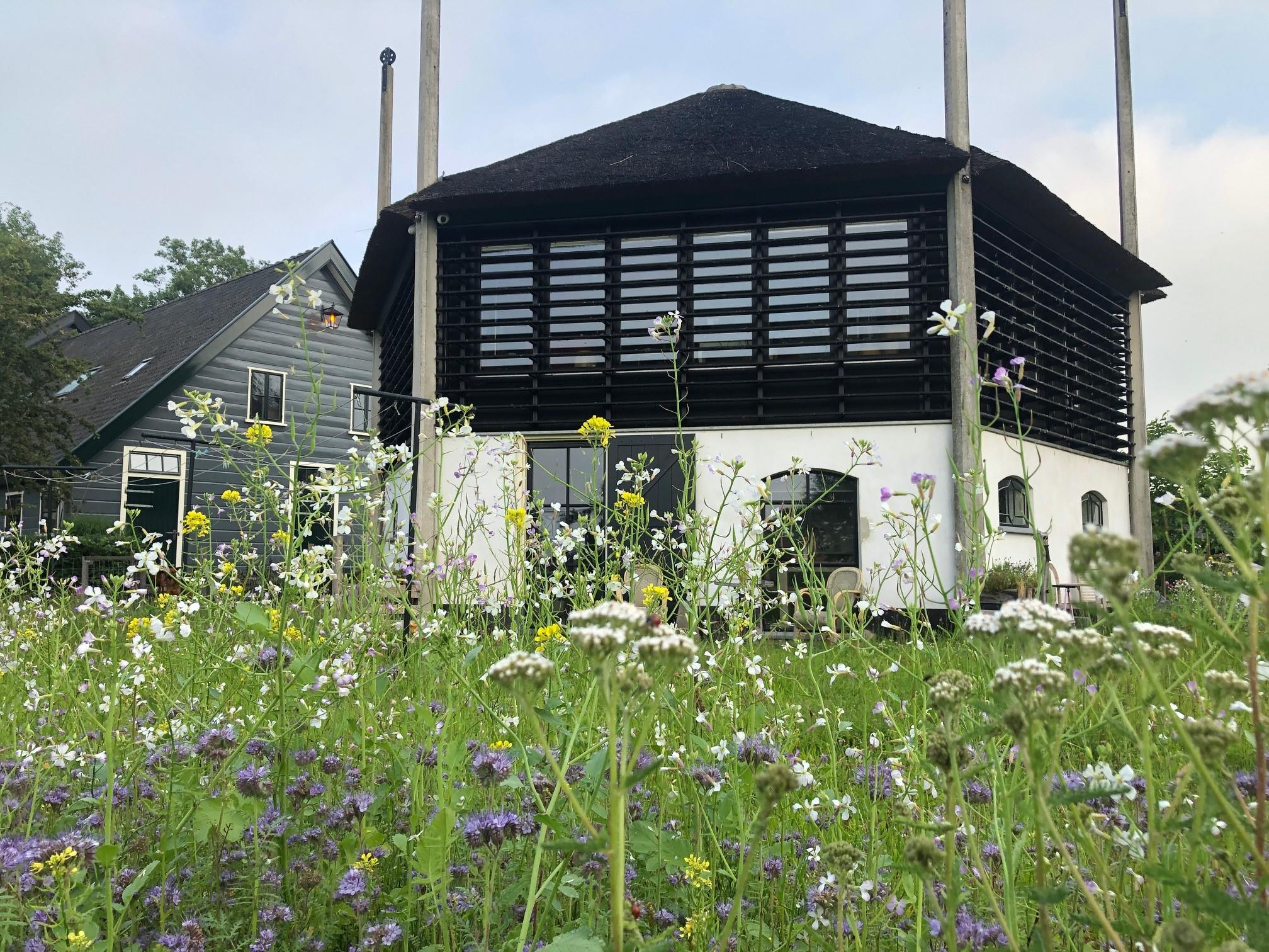 Nature house in Weesp