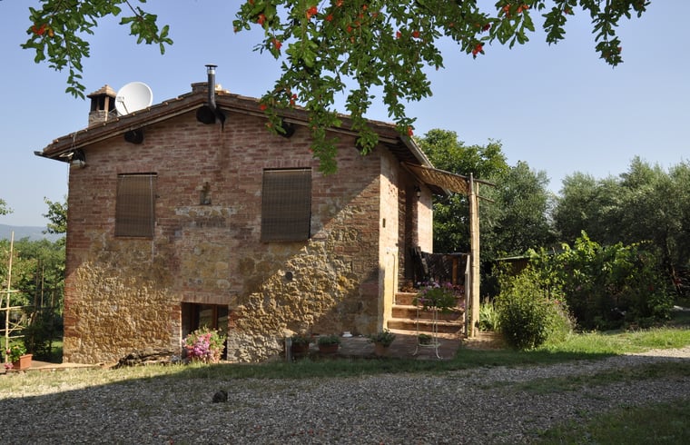 Boerderij in Sovicille — foto 2