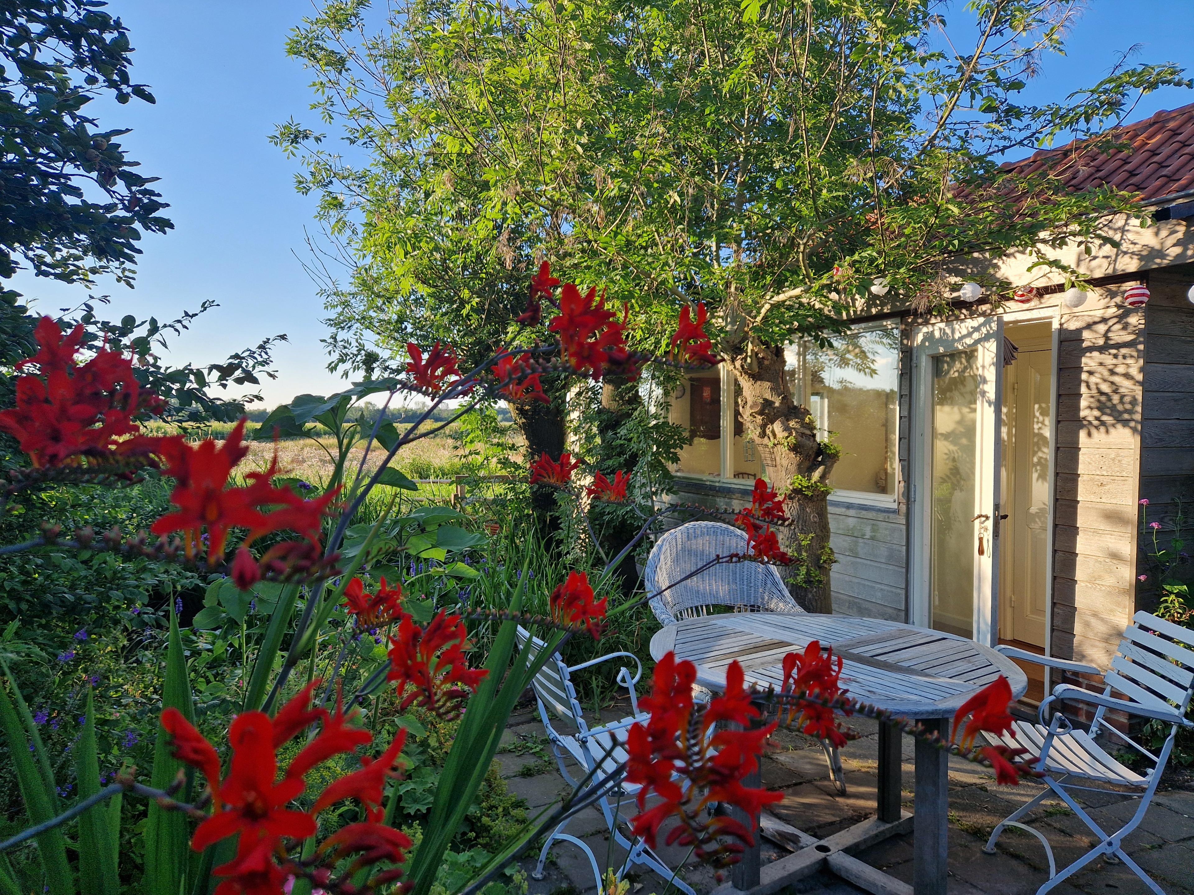 Maison nature à Delfgauw
