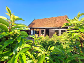 Natuurhuisje in Ternaard