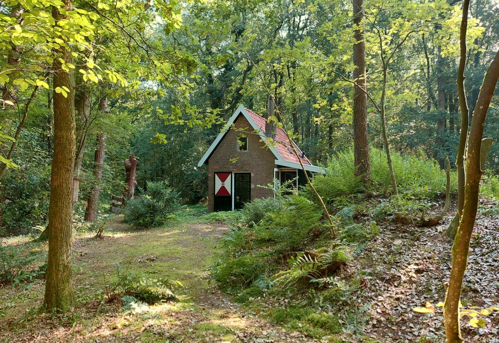 Maison nature à Uffelte