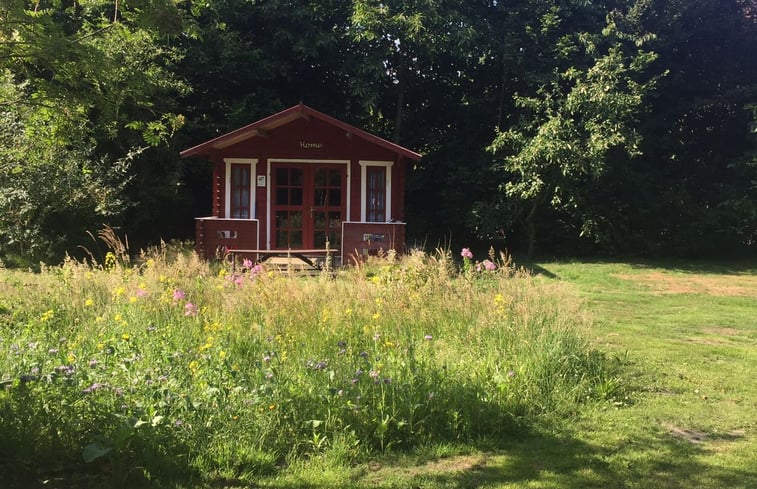 Natuurhuisje in Oostwold