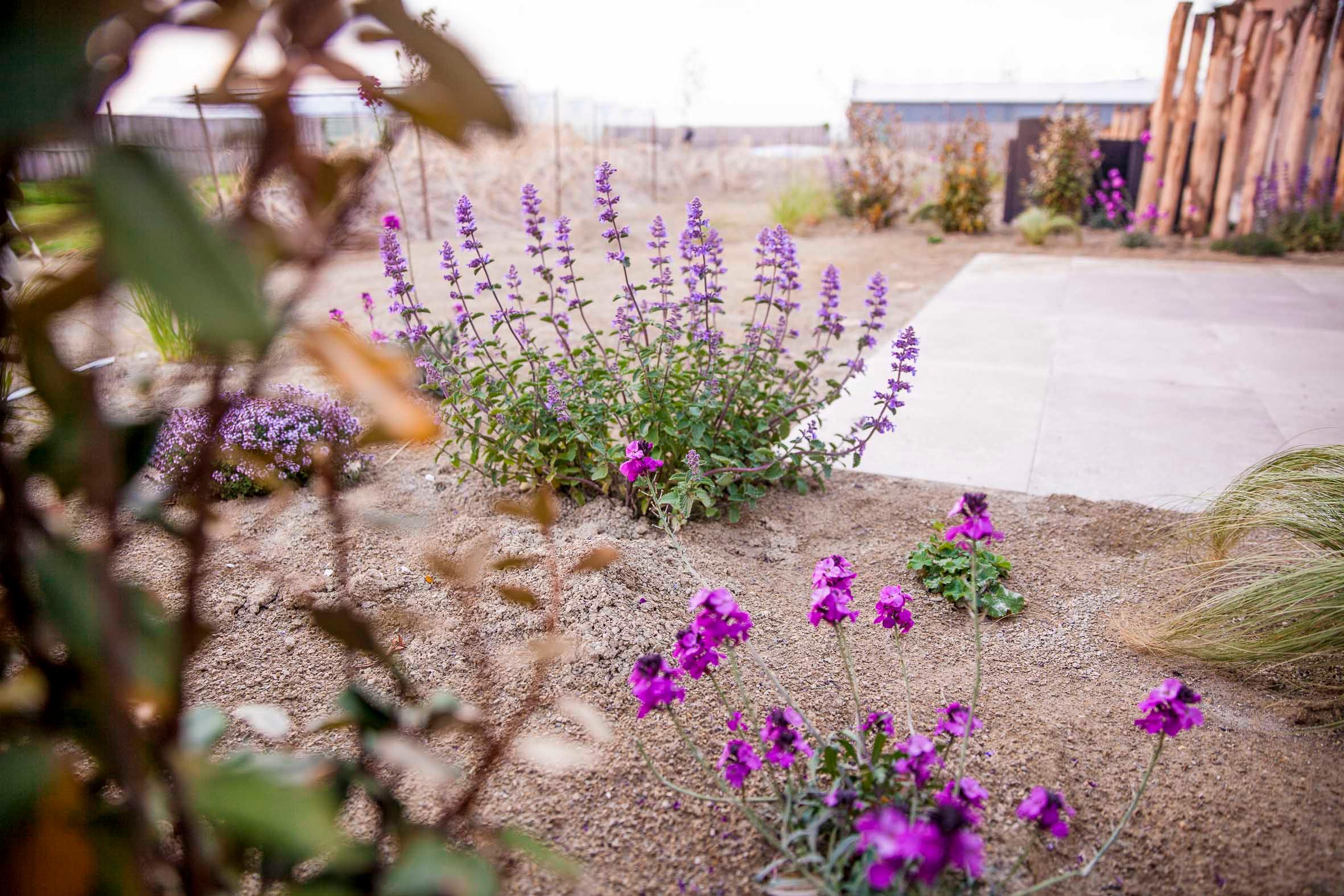 Nature house in Callantsoog