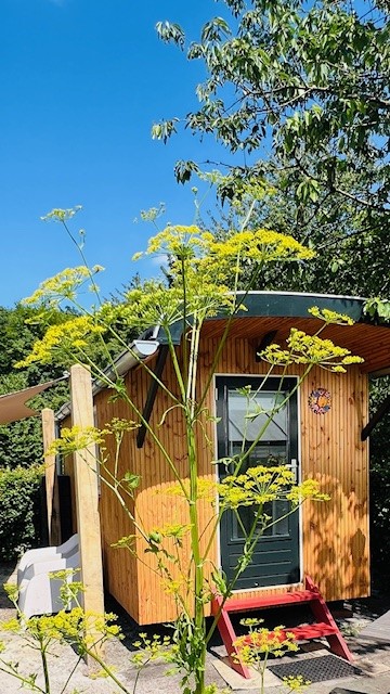 Natuurhuisje in Appelscha