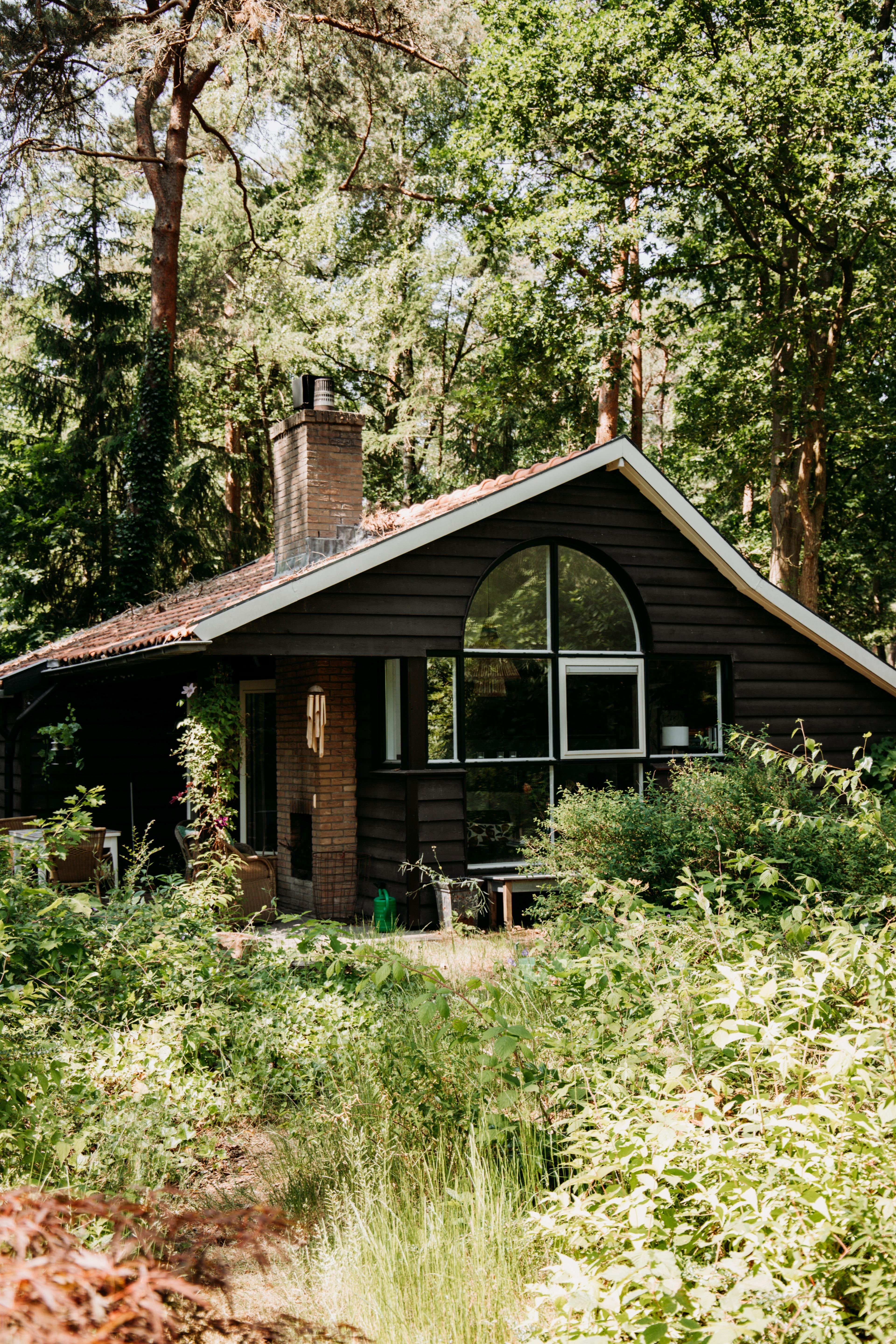 Nature house in Lochem