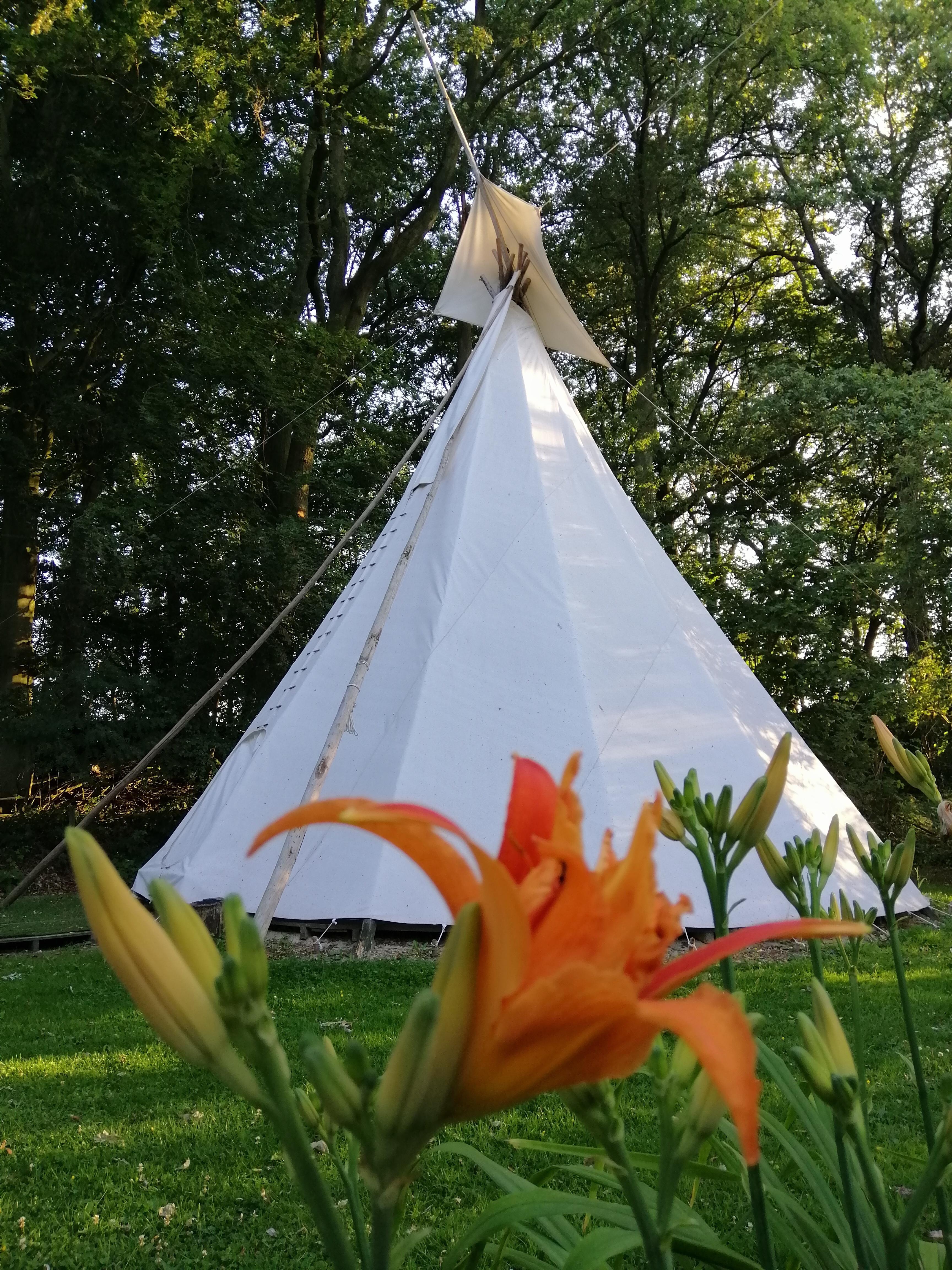 Maison nature à Hengelo
