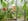 Nature house in Nunspeet